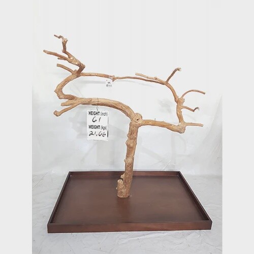 Medium  Enrichment Tree