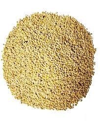 White Millet