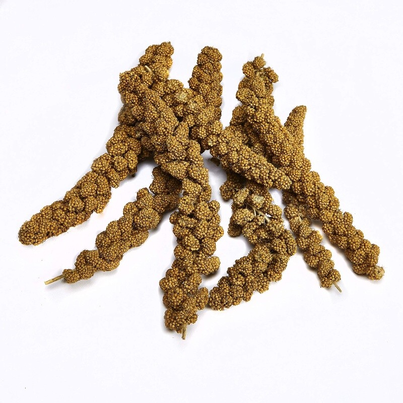 Millet Spray .5lbs