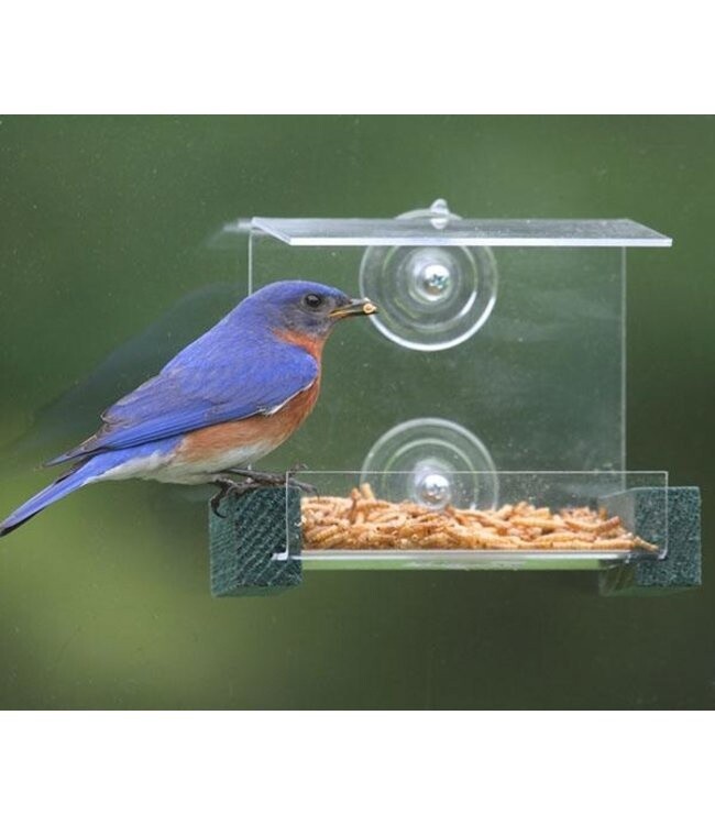 Mini Window Feeder