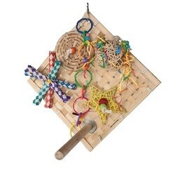 Smart Play Perch