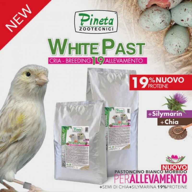 White Past 4kg