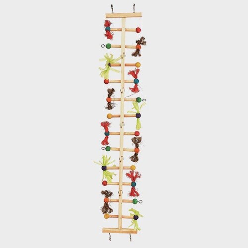 Ladder