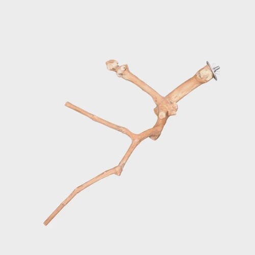 Multi Branch Perch Med