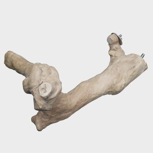 Multi branch perch XL