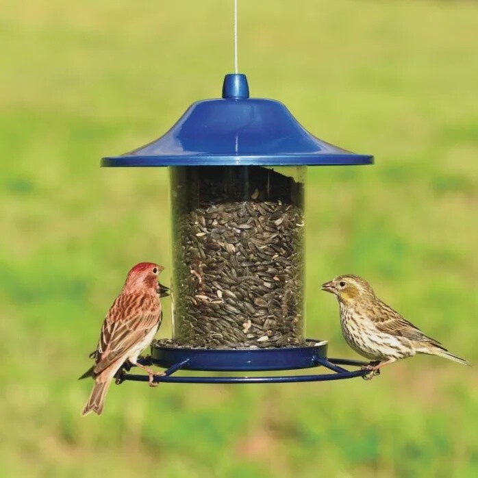 Blue Panorama Feeder