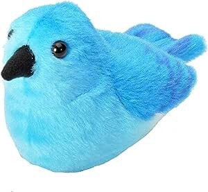 Mountain Bluebird
