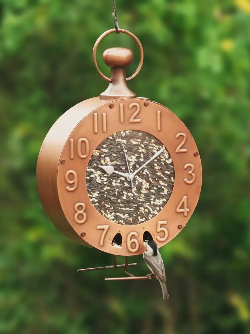 Time Fly&#39;s