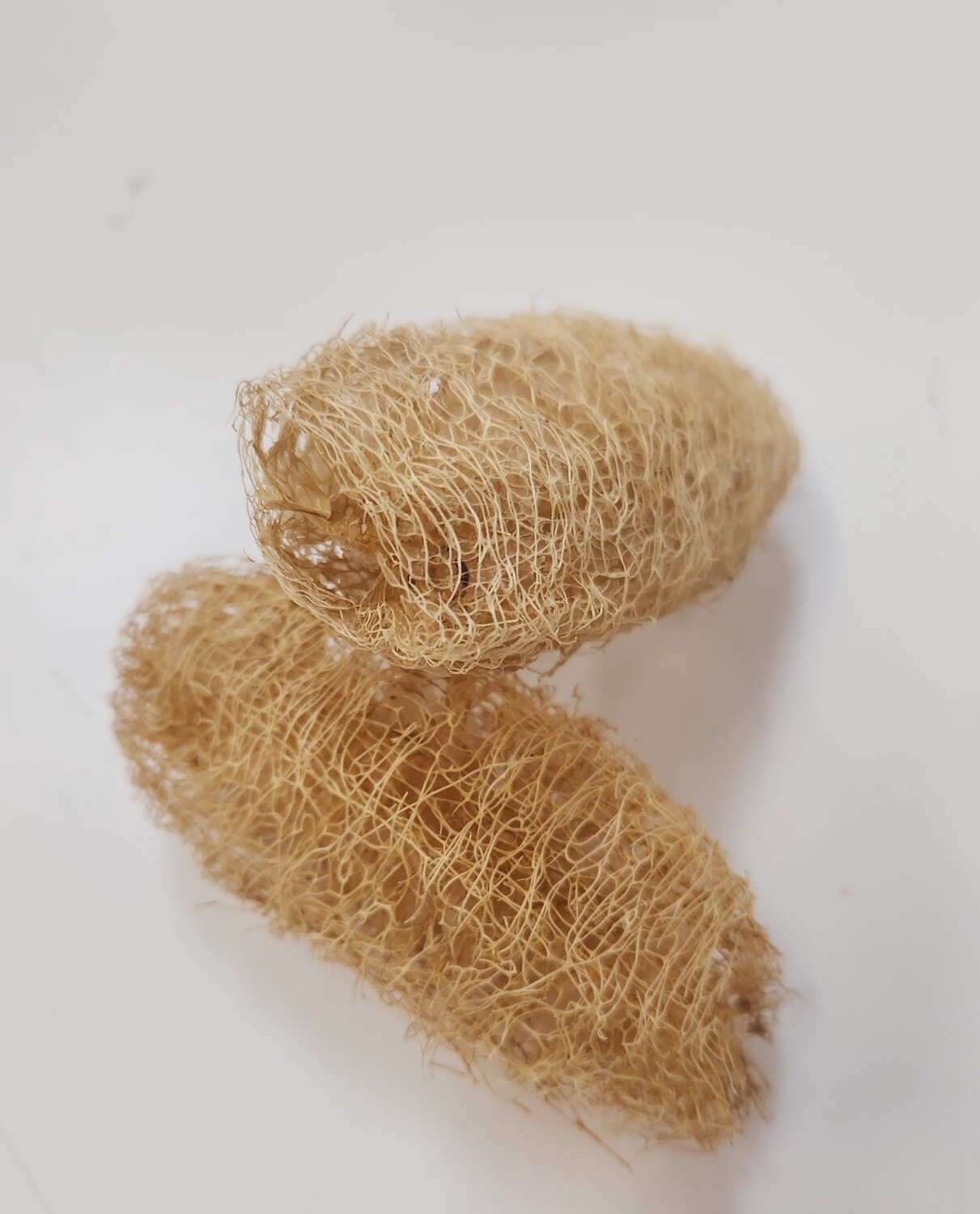Loofa