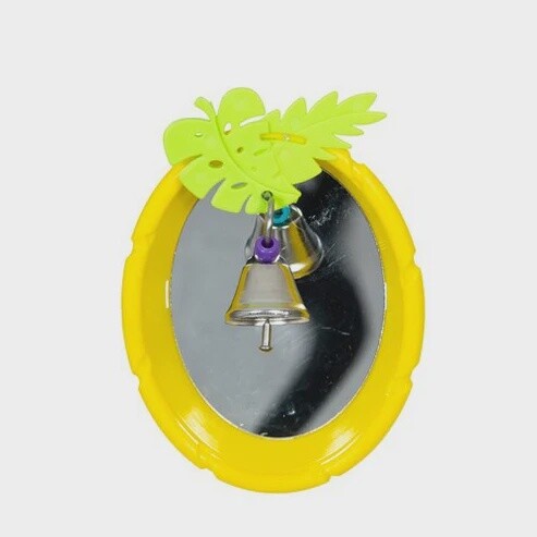 Oval Mirror