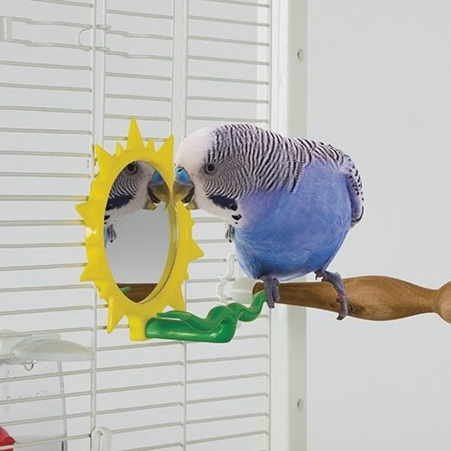 Sun Burst mirror