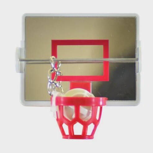 Birdie basketball