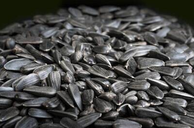 Wild Bird Food