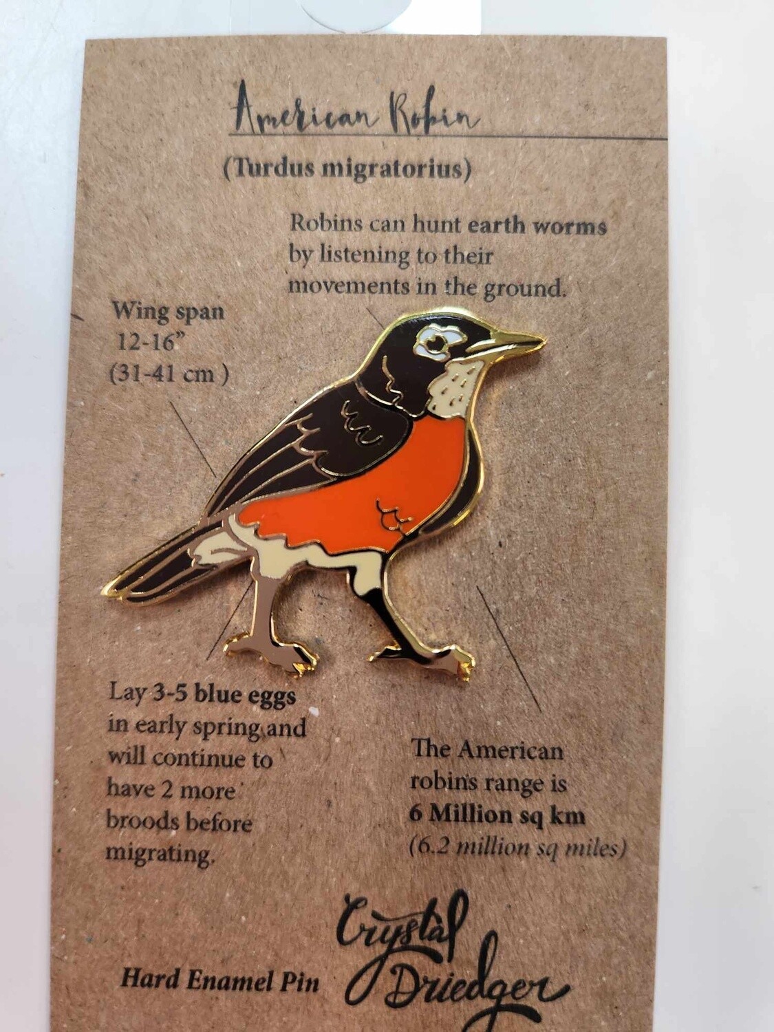 Robin