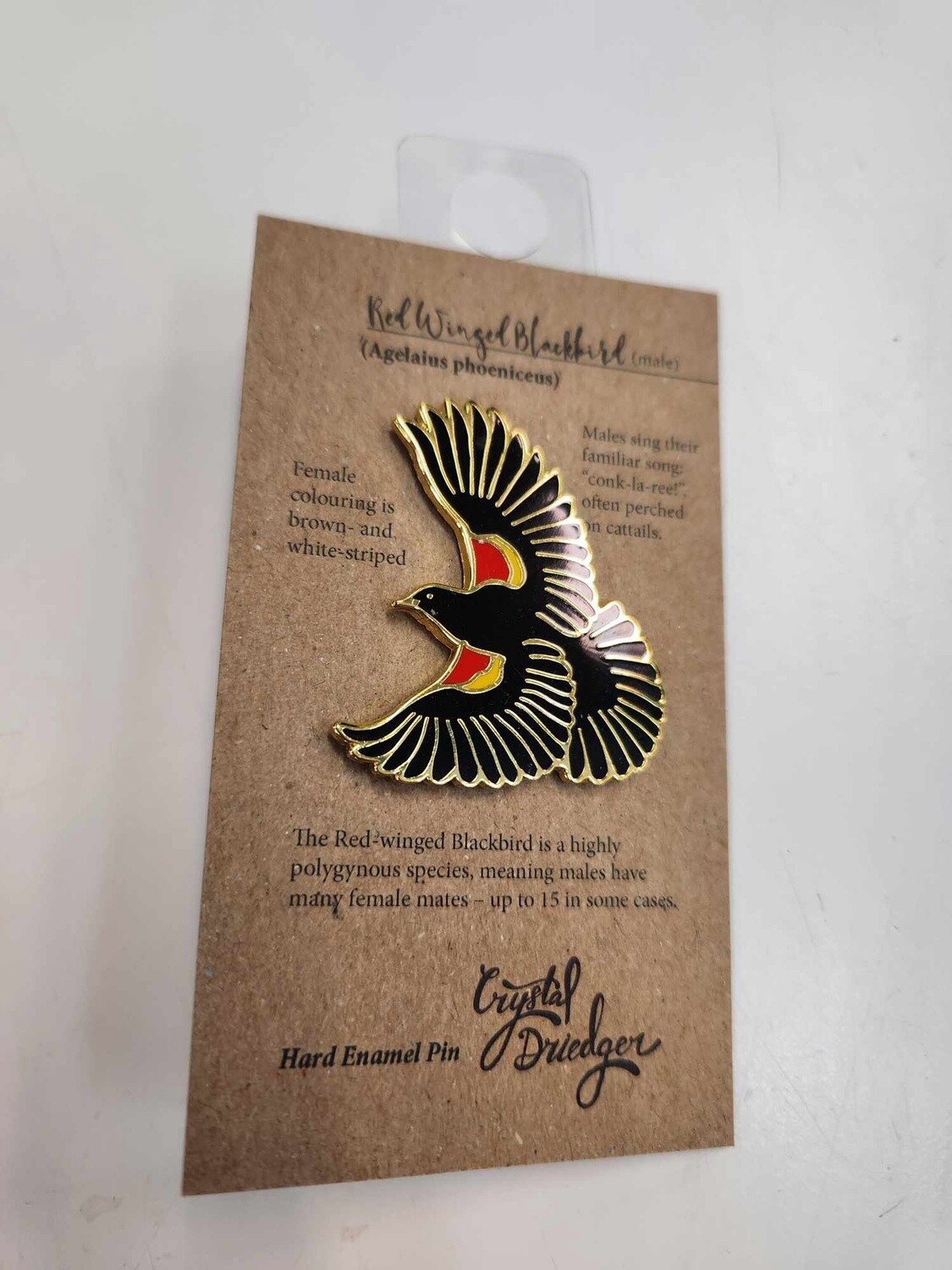 Red Winged Blackbird pin