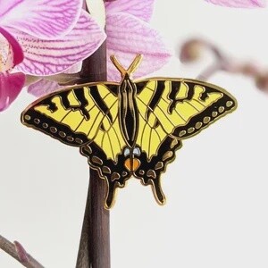 Tiger Swallowtail