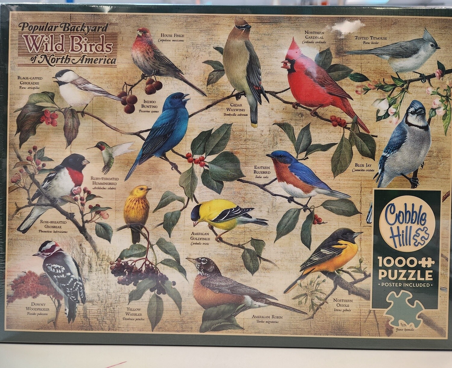 Wild Birds of North America
