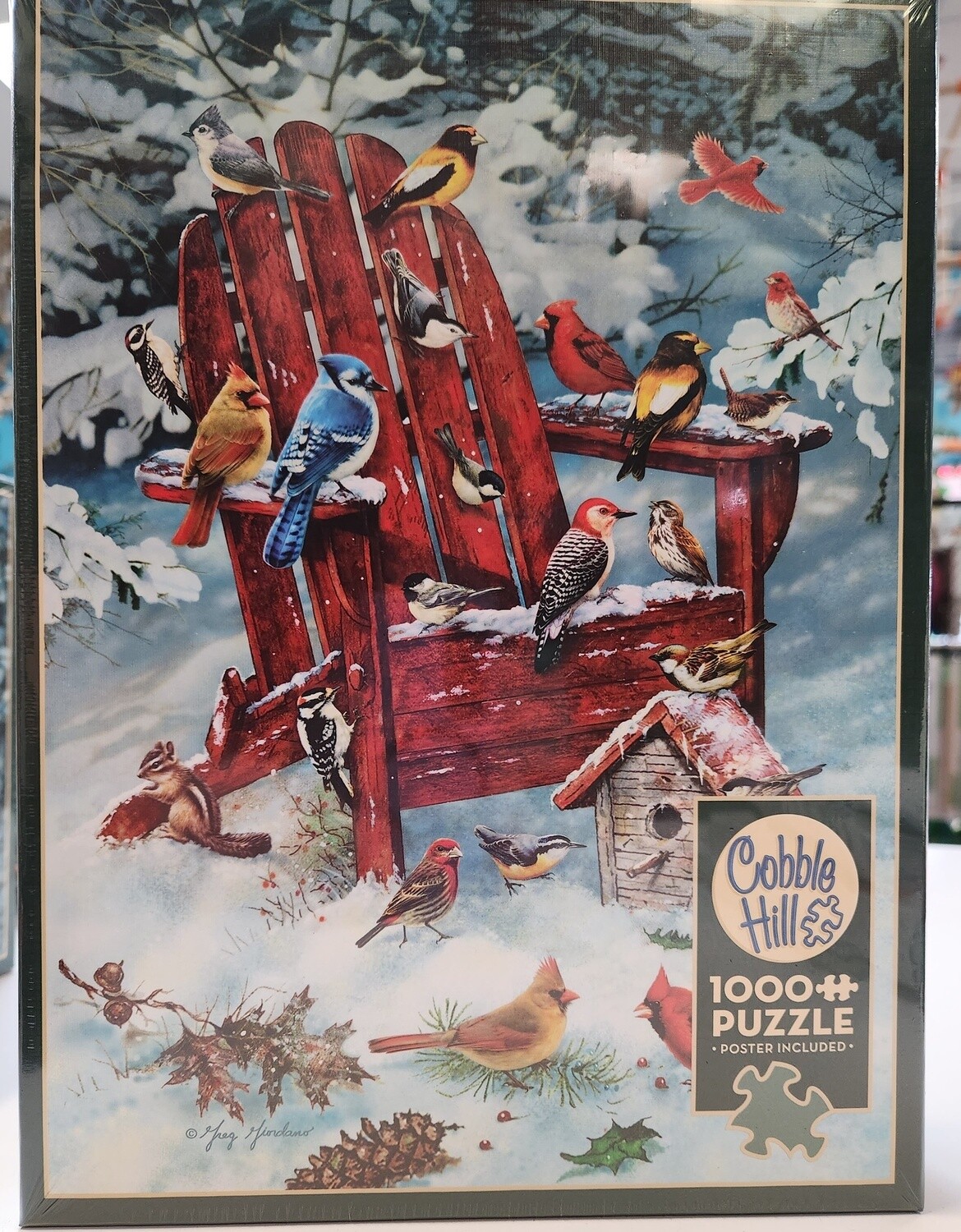 Adirondack Birds