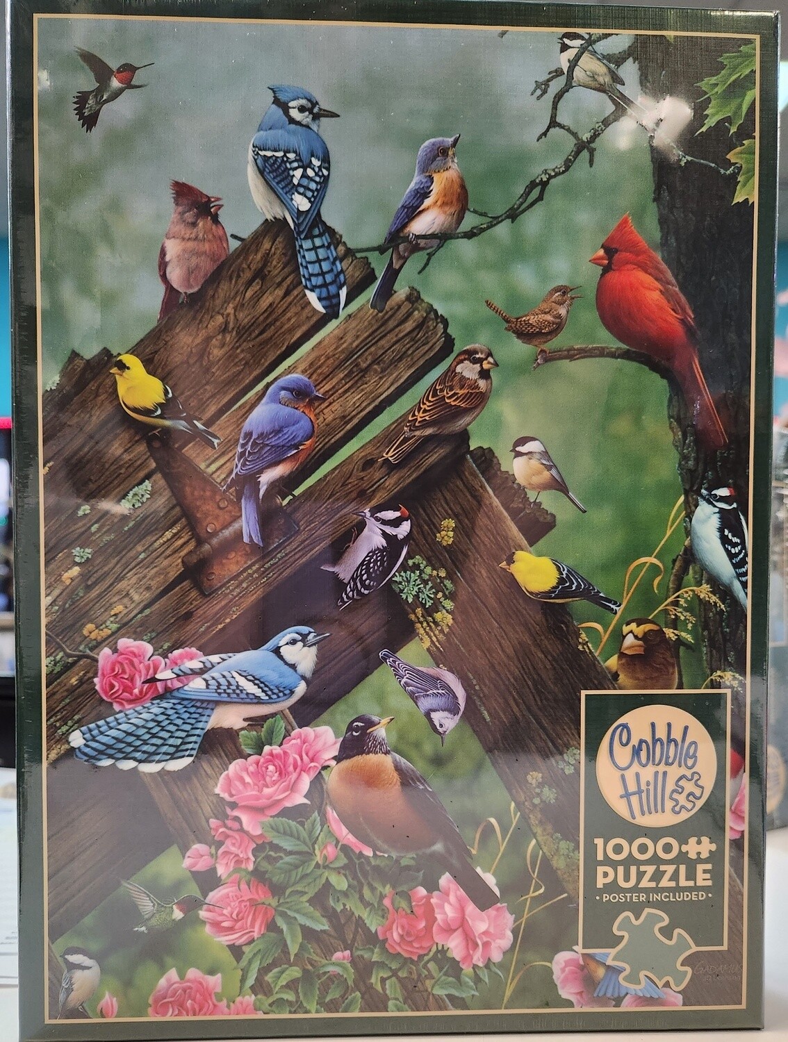 Birds of the Forest