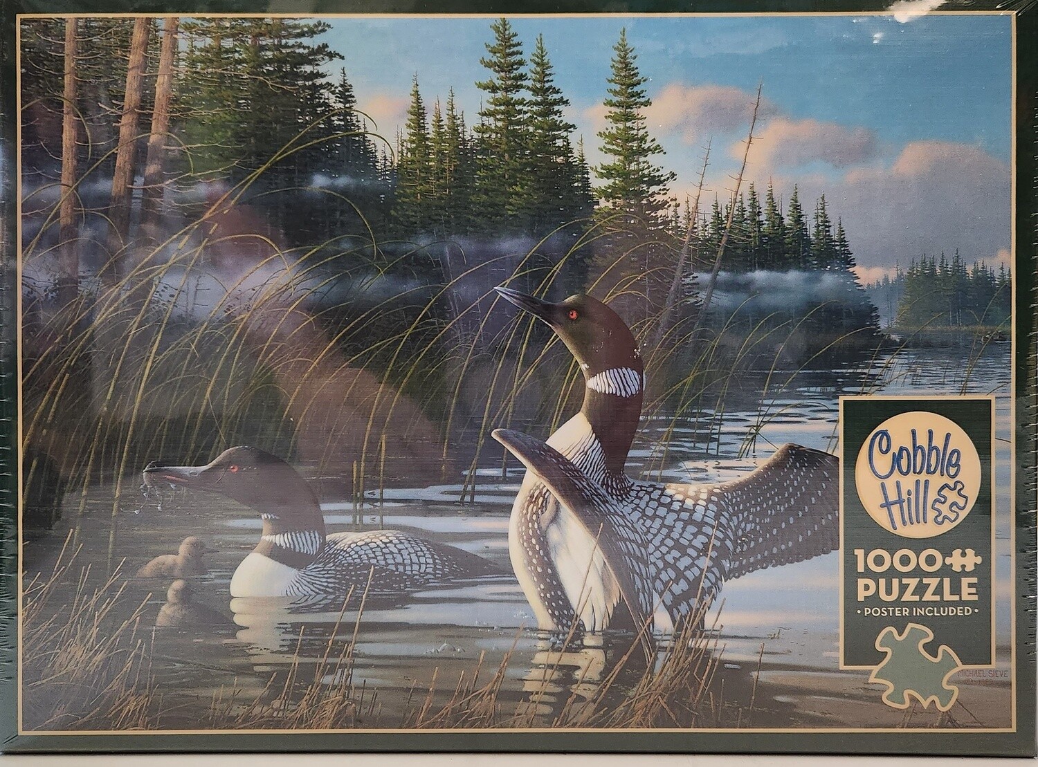 Common Loons