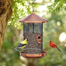 Wild Bird Supplies