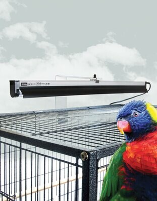 Pet Bird Lighting &amp; Heating