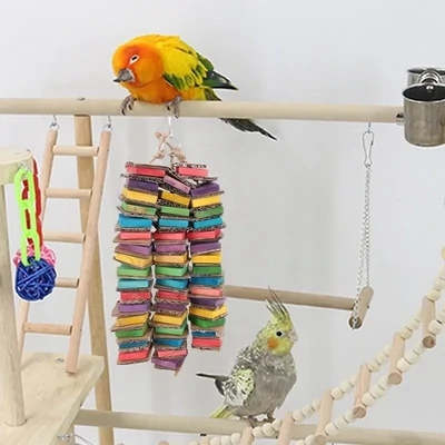 Pet Bird Accessories