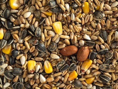 Pet Bird Seed Mix &amp; Fruit Nut Mix