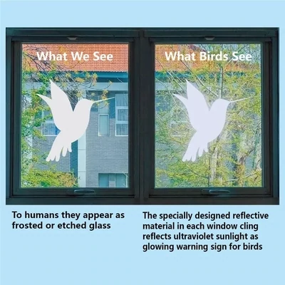 Wild Bird Anti-Collision Stickers &amp; Window Decals