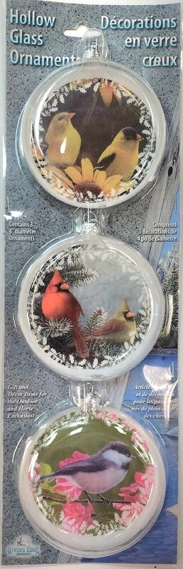 Hollow Glass Ornament 3pk