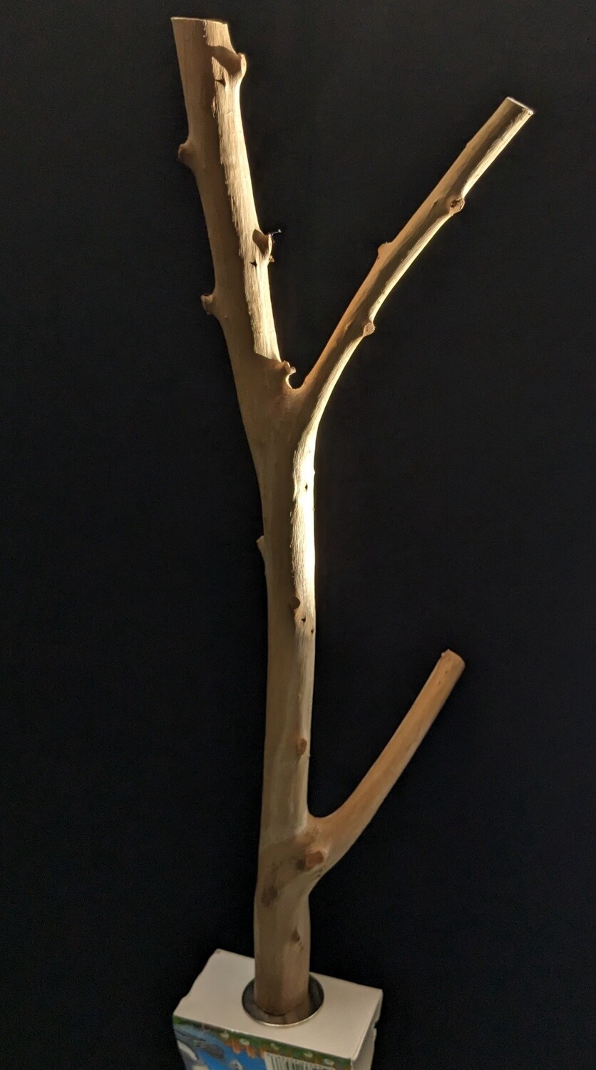 JJ Java Branch Perch A829-4