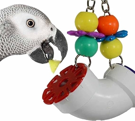 PVC forager Toy