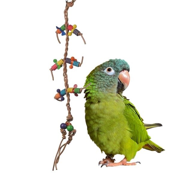 Birdie Braid Toy pk2032