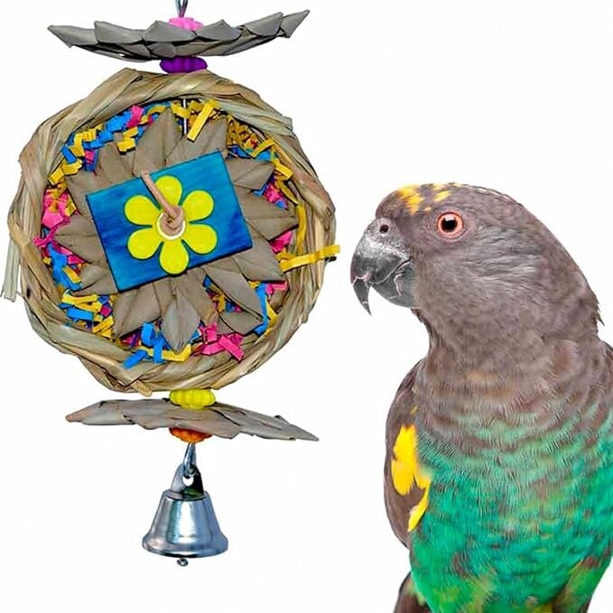 Beakwhich  Chew Toy