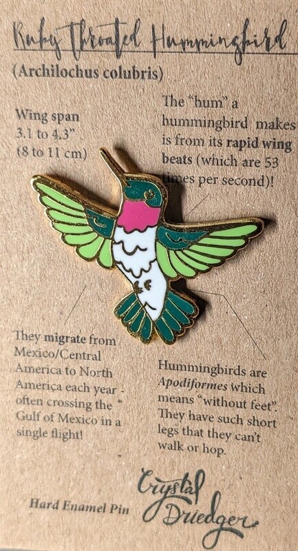 Ruby Throated Hummingbird