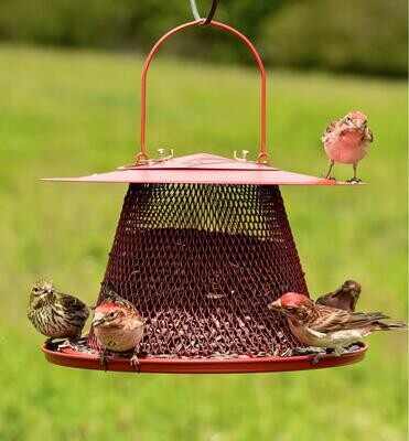 Wild Bird Feeders &amp; Feeder Accessories