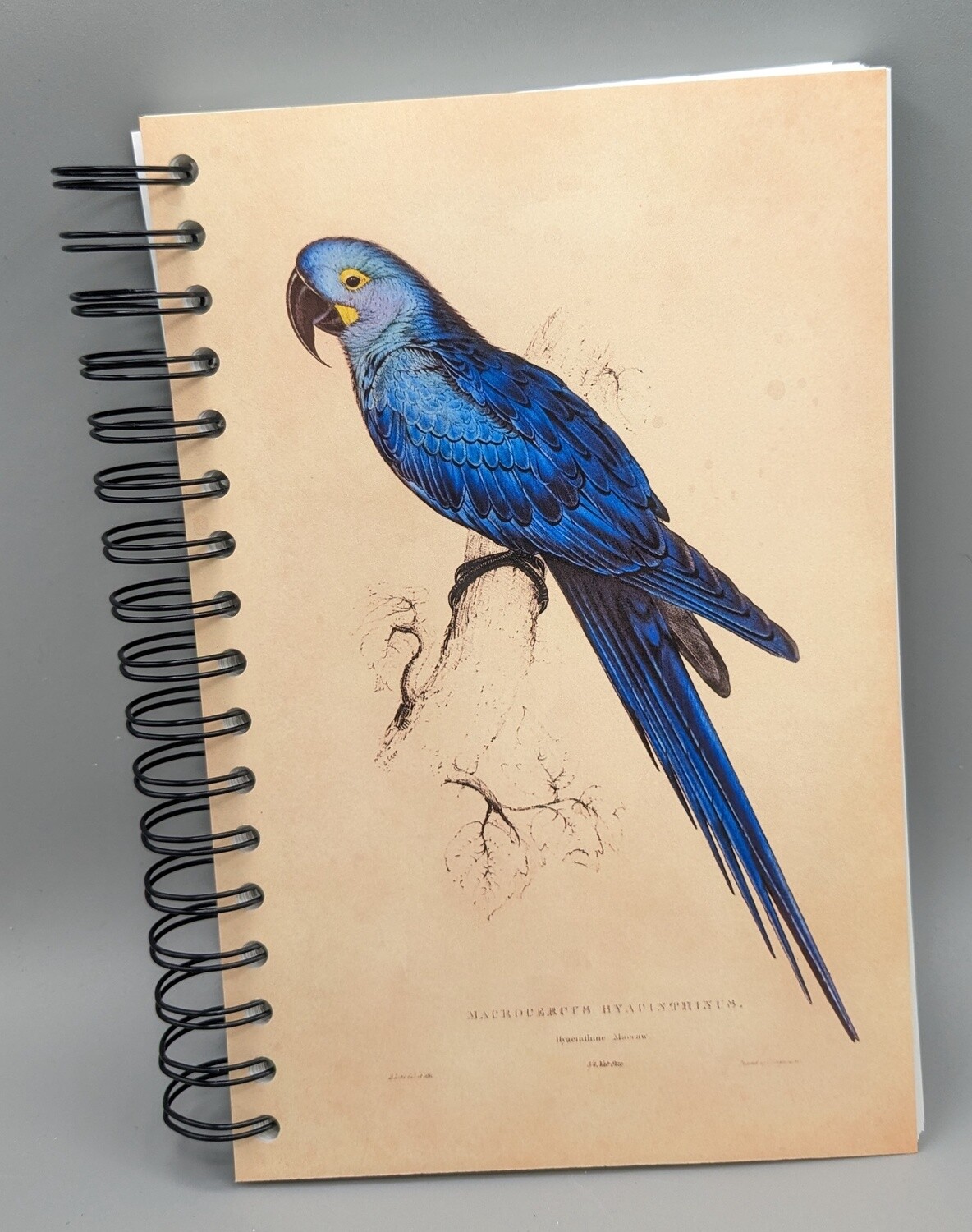 Hard Cover Coil Bound Parrot Notebook