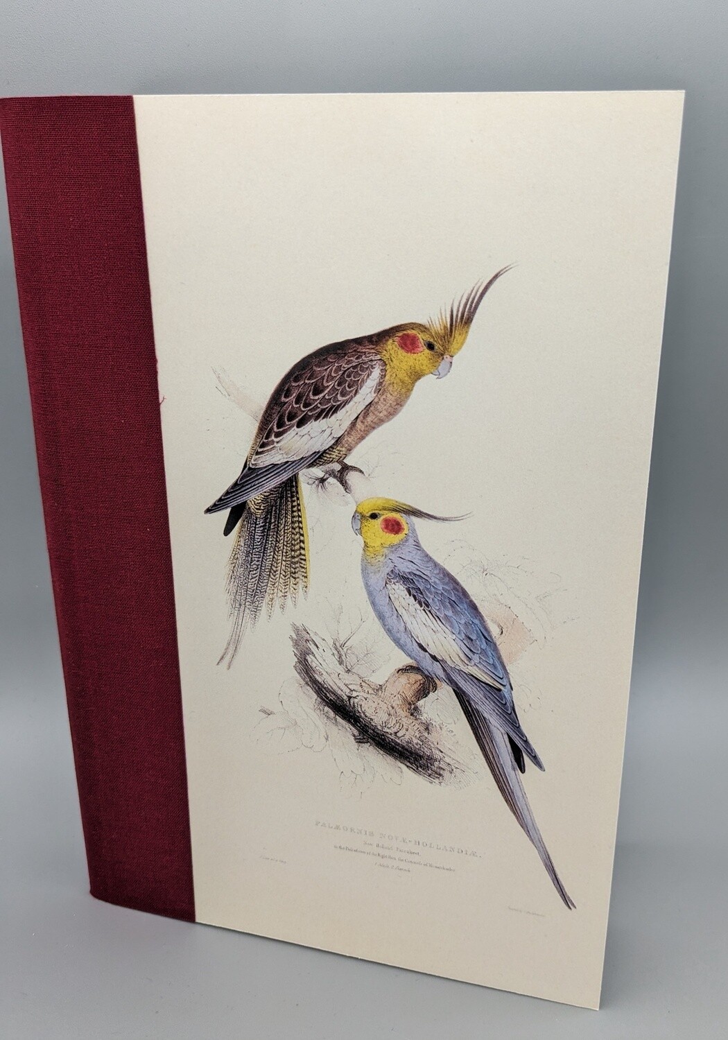 Soft Cover Parrot Notebook