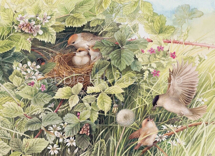 Hidden Nest 1000 Piece Puzzle