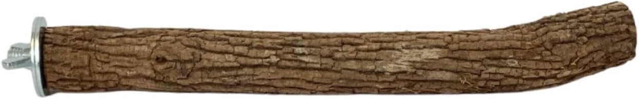 Dragonwood Perch