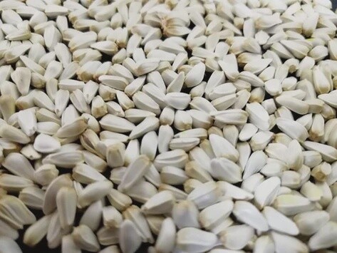 Safflower 9 kg