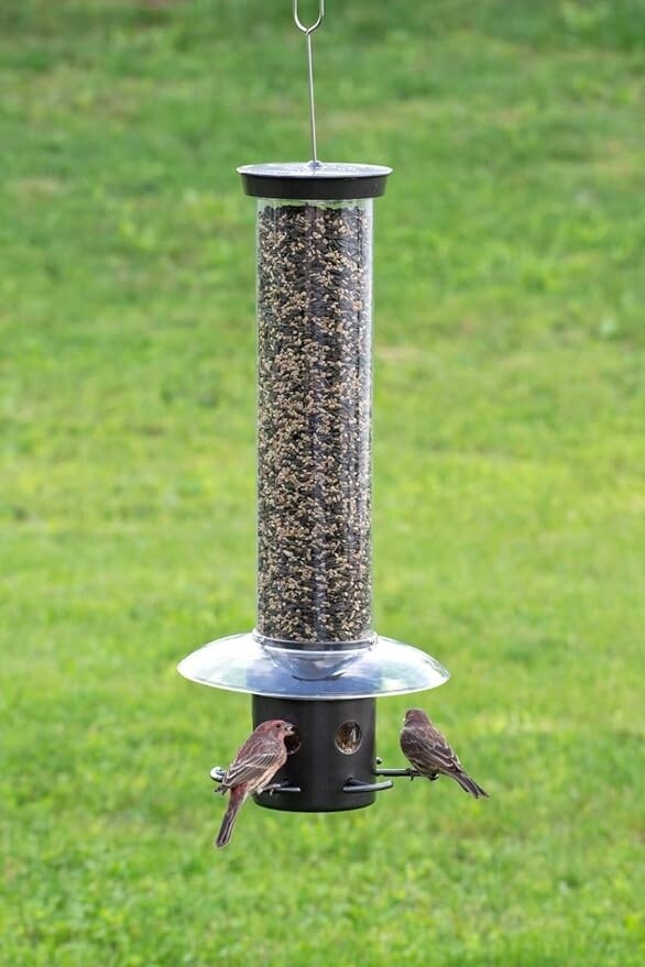 Droll Yankees Blocker Squirrel Proof Bird Feeder