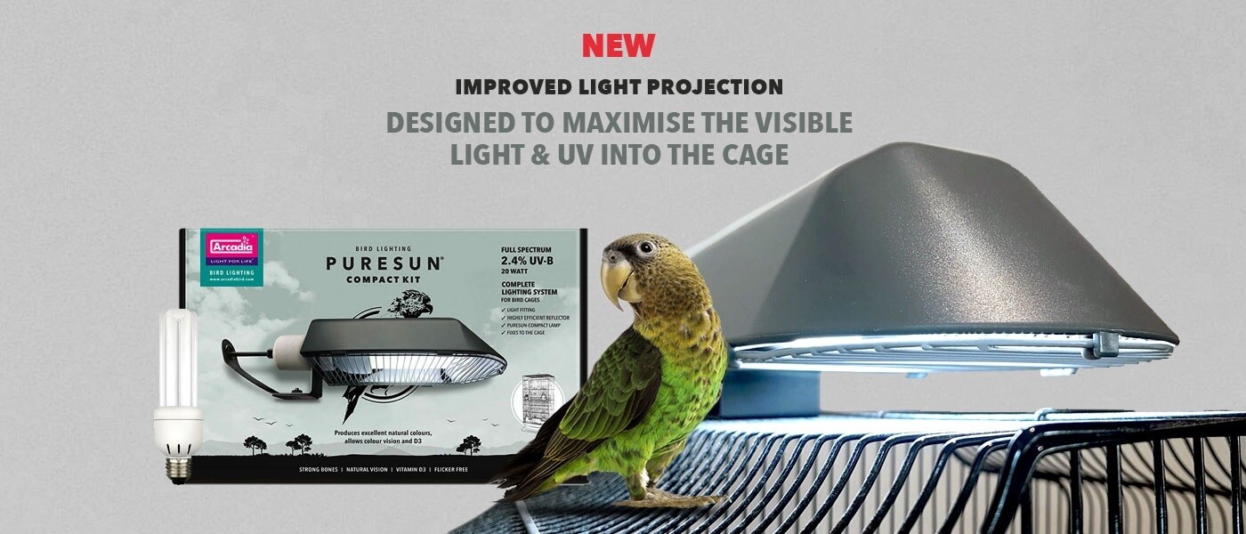 Arcadia Compact Light Kit