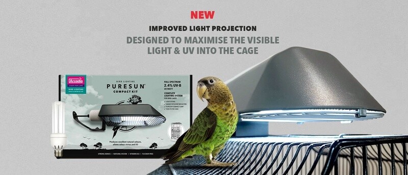 Arcadia Compact Light Kit