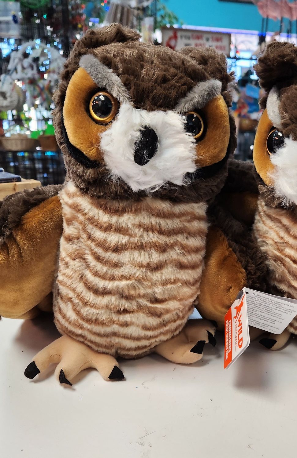 CK Great Horned Owl