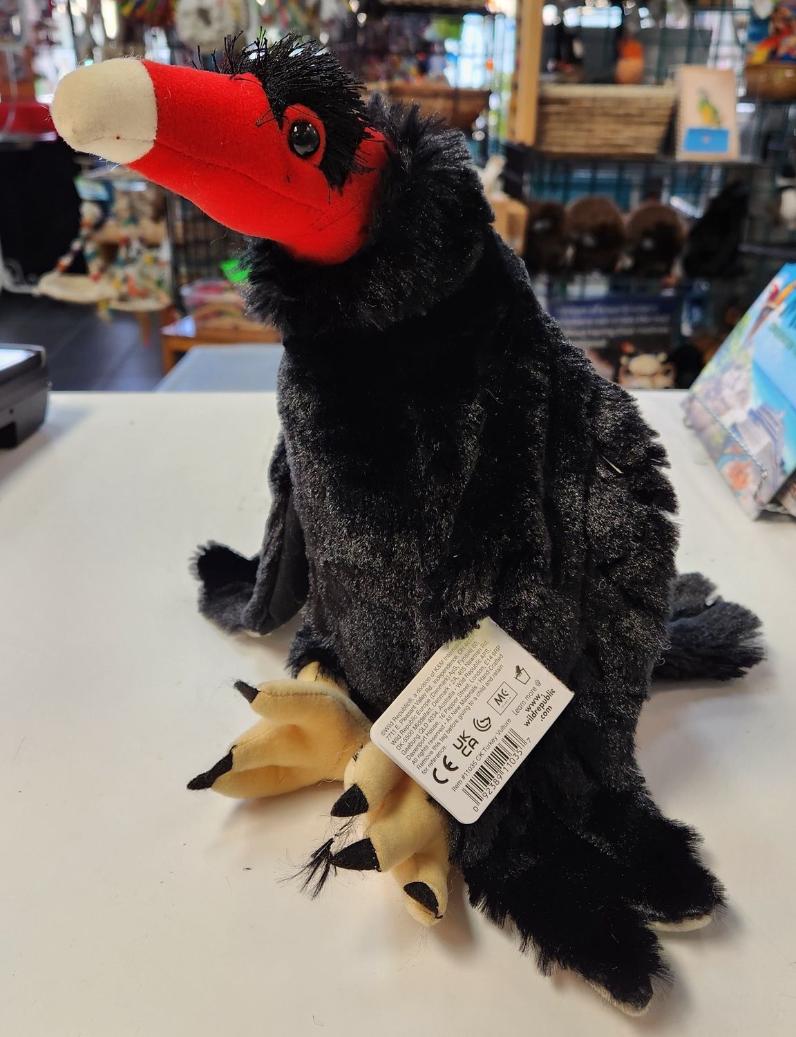 Turkey Vulture