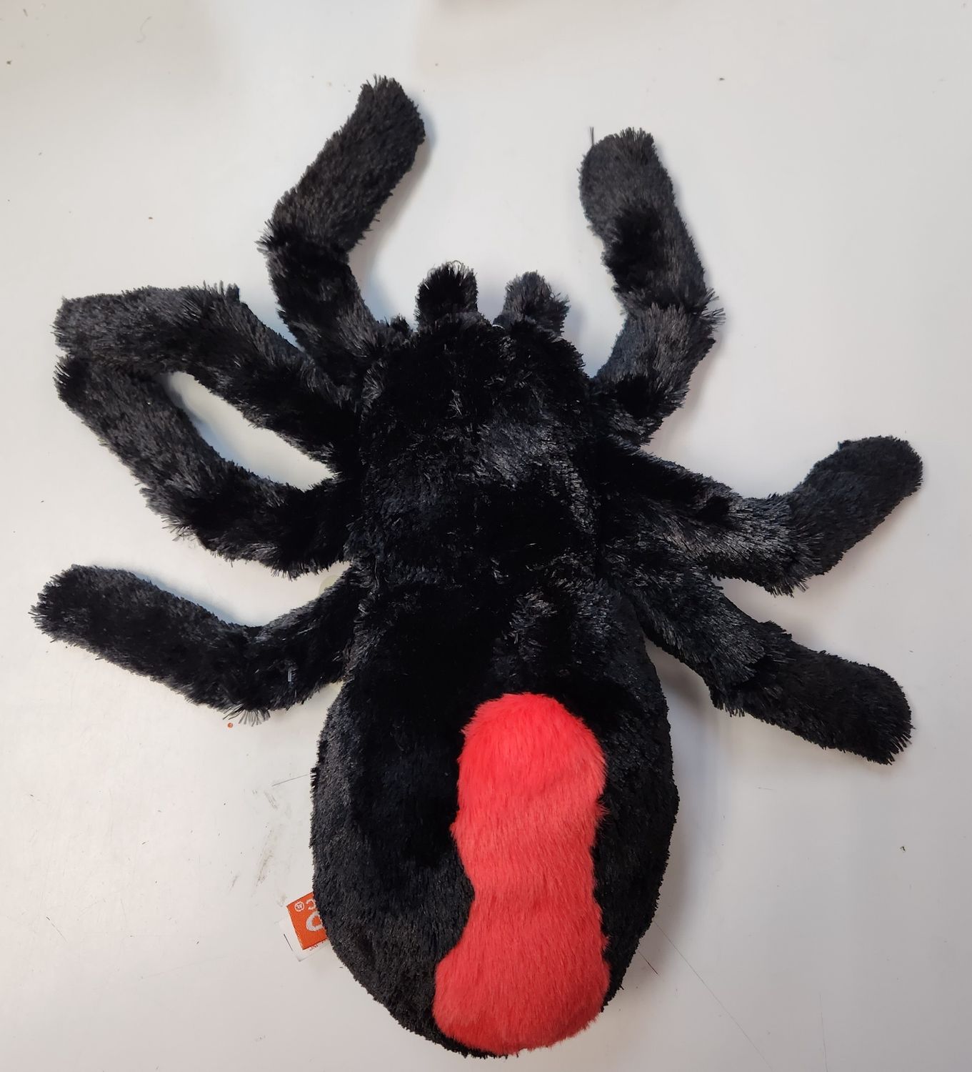 Red Back Spider