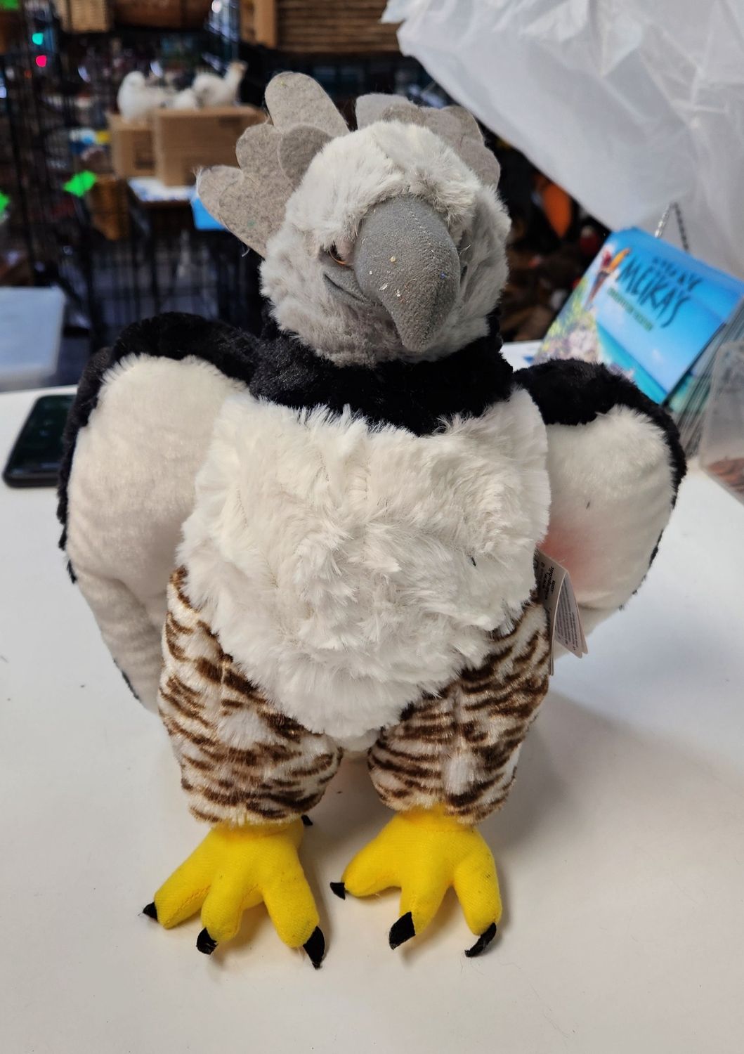 Harpy Eagle