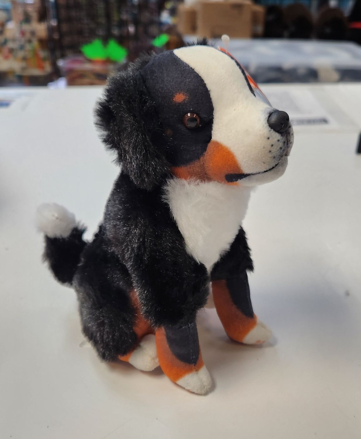 Bernese