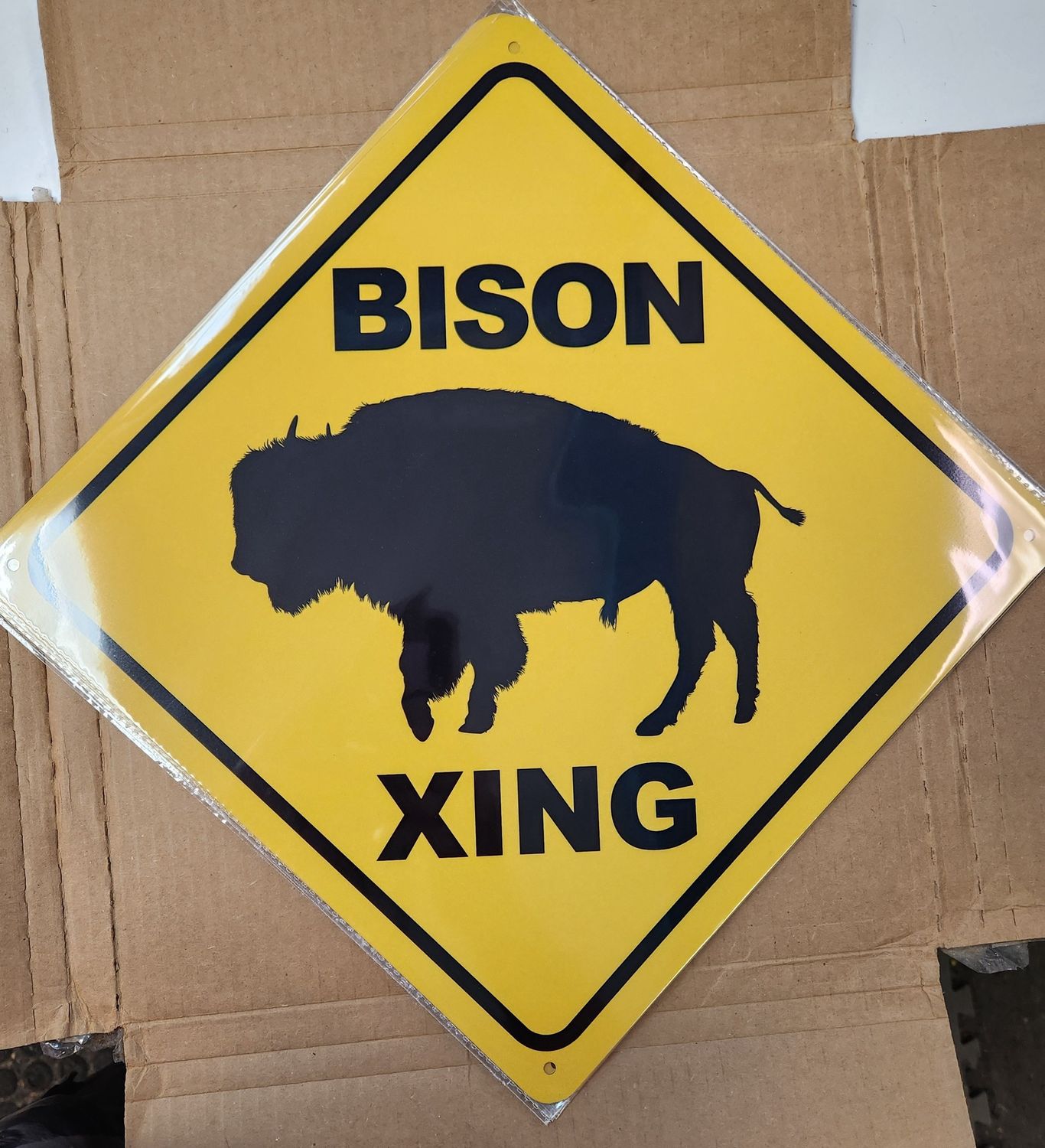 Bison x ing